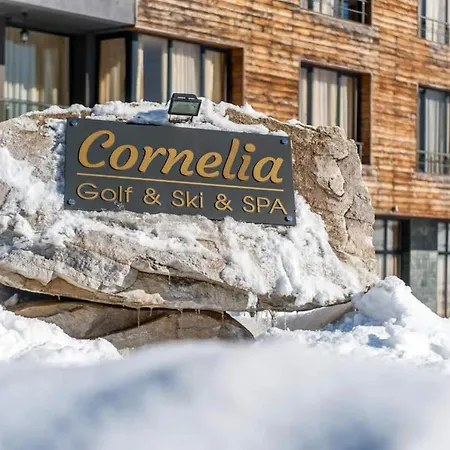 At Cornelia Boutique &